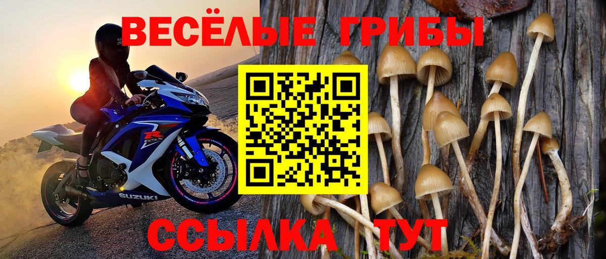 Отрадный  Псилоцибиновые грибы мицелий  Вход с VPN 