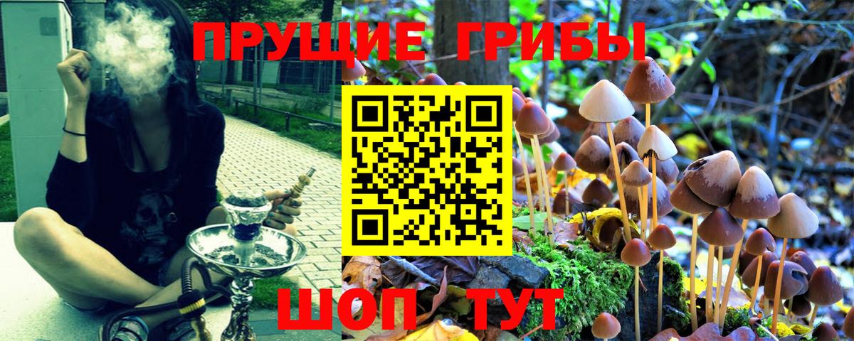 Галлюциногенные грибы мухоморы Отрадный